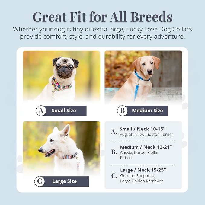 Lucky Love Dog Martingale Dog Collar - Adjustable, No-Slip, Durable, & Soft Webbing Collar for Male and Female Dogs Ideal for Training & Walking - Ladybird, Small