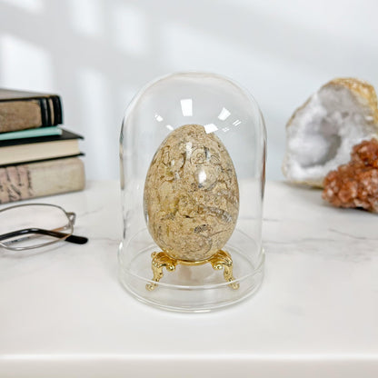 Plymor 3" x 4" Glass Display Dome Cloche (Clear Glass Tray Base)