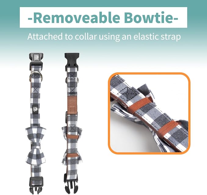 IVY&LANE Dog Collar with Bowtie and Leash Set | Plaid Adjustable Dog Collar | Detachable Bow Tie |5 FT Dog Leash | for Small Medium Large Dogs | Checkered Black | Small