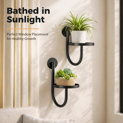 SUNCKET Wall Plant Holders for Indoor Plants, 3 Pack Metal Wall Mounted Plant Shelves，Modern Window Plant Hanger, Space Saving Hanging Planters for Living Room Bedroom Kitchen Bathroom Office Decor, Black
