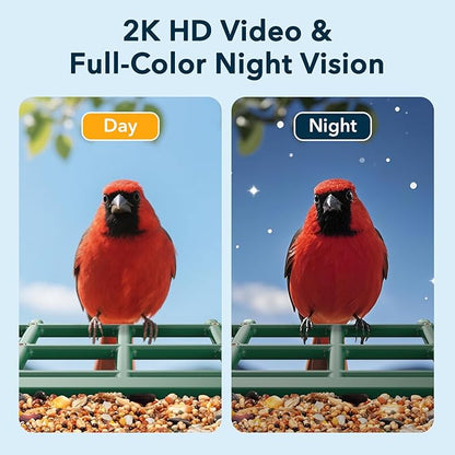 PeckCam Bird Feeder with Camera Solar Powered, AI Identify & Auto Capture with 32GB Card, 2K HD Live Video Smart Bird Feeder Camera Instant Notifications in Backyard, Gift for Bird Lovers
