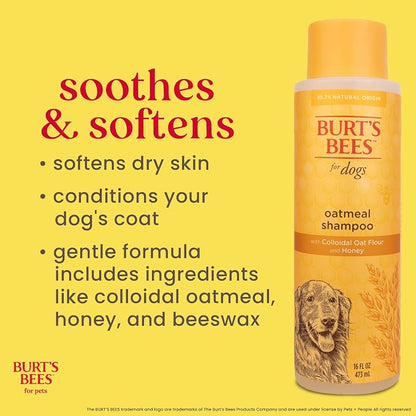Burt's Bees for Pets Oatmeal Dog Shampoo with Honey, Soothing Formula for Itchy and Sensitive Dog Skin, Colloidal Oat Flour and Honey, pH Balanced, Sulfate-Free, 16 Fl Oz - 2 Pack