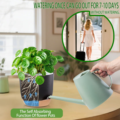 Sxueg Self Watering Orchid Pots for Indoor Plants,5.8 Inch Macetas para Orqudeas,Flower Pots for Indoor Plants with Holes(Black)