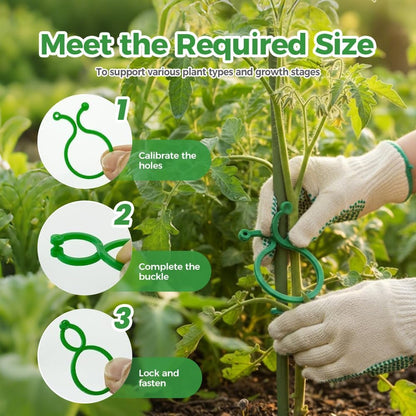 muxou Plant Stem Support,Plastic Plant Clips for Climbing Plants,Tomato Vine Clips,Plant Fixing Clips,Garden Clips (Green 150PCS)