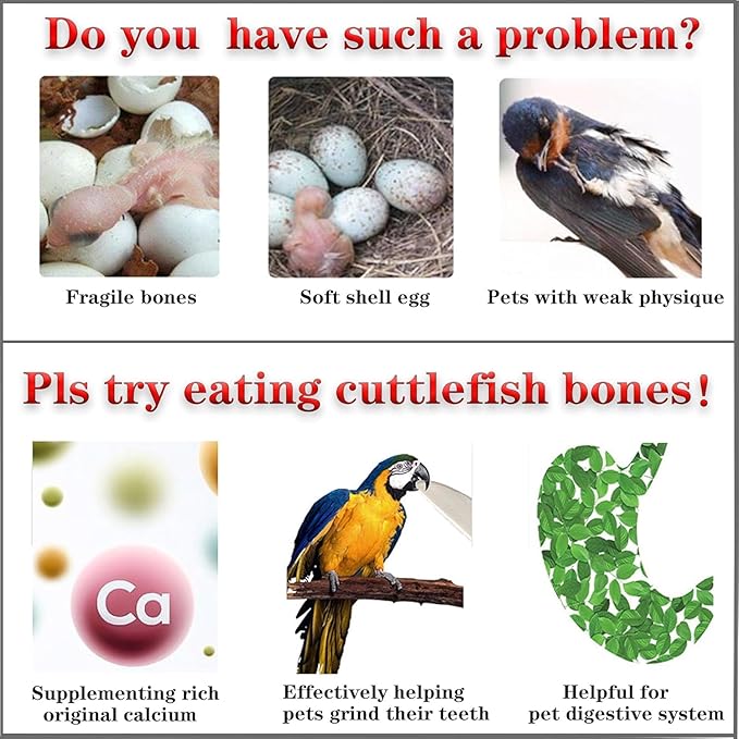Bird Cuttlebone for Parakeets Cuttlebone for Birds - 101% Natural Cuttlefish Bone Bulk Chew Toy Bird Bites Calcium Stone for Canaries Tortoises,Snails,Reptiles,Parrots,Cockatiel