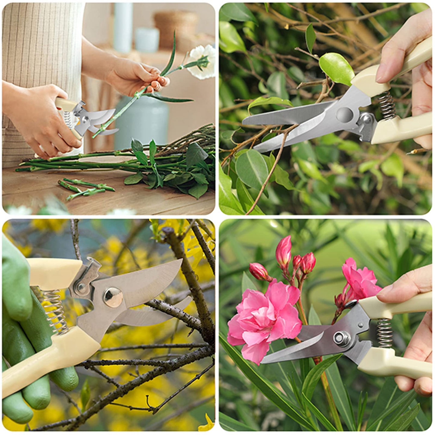 6PCS Premium garden shears, pruning scissors gardening tools, pruners for flower, bushes, rose and fruit tree, use for florist, yard and orchard the plant clippers, sharp steel anvil snips (white, 6)