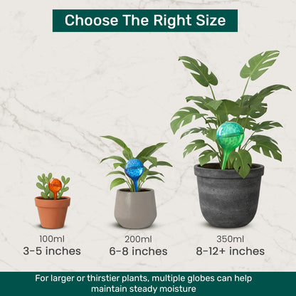 Little Green Leaf Automatic Plant Watering Globes Self Watering Planter Inserts (Set of 4) | Hands Free Clear Glass Bulbs | Planter Spikes to Support Indoor & Outdoor Plant Health (200ml)