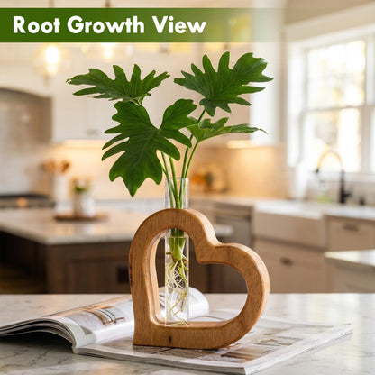 Chonsun Plant Propagation Stations Plant Terrariums Wall Hanging Planters Plants Stand Indoor with Glass Test Tube Planter Wall Decor Gifts for Women Mom