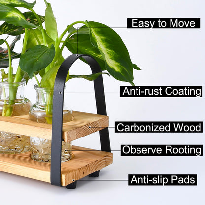 VIKEYHOME Plant Propagation Station with Wood Stand, Desktop Terrarium for Hydroponic, Flower Vase for Home, Kitchen, Office Decor, Plants Lover Gifts