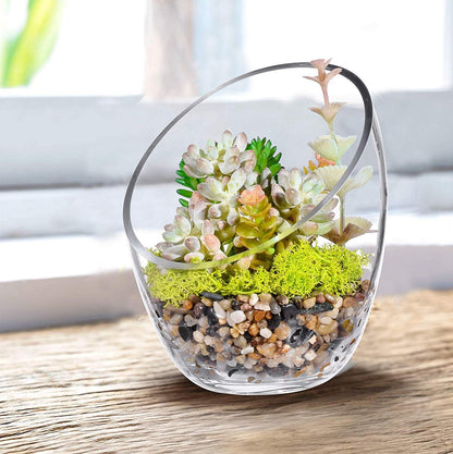 Ecosides 6.9”X5.5 Clear Glass Bowls Slanted Clear Vase Terrarium Jar Round Globe Wide Glass Cut Bubble Bowl Put Candies,Plant,Flowers,Fruit
