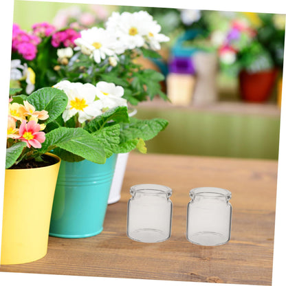 BESPORTBLE 10pcs Stylish Miniature Glass Bottles for Succulents Plant Propagation Tubes Micro Landscape Terrariums