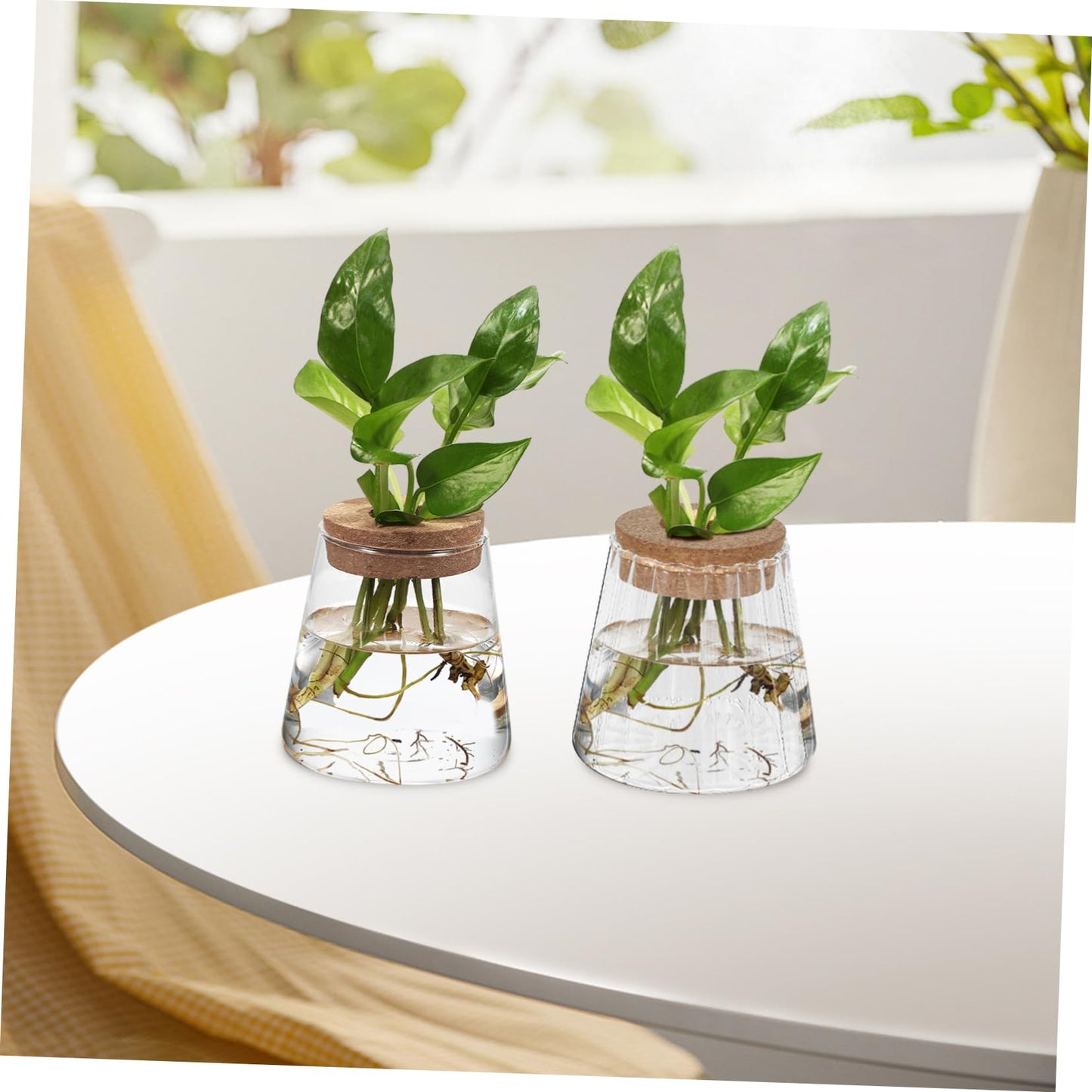 ibasenice 3Pcs Glass Hydroponic Plant Vases Compact Indoor Gardening Terrarium for Avocado Propagation Modern Desktop Decoration for Home Office Versatile Plant Propagation Jars