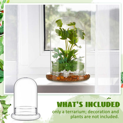 Perthlin 1 Pcs 5.9 x 7.9 Inch Glass Terrarium Clear Terrarium Planter Container Glass Dome Cloche with Airhole and Base for Plant Flower Home Tabletop Display Centerpiece, Plants Not Included