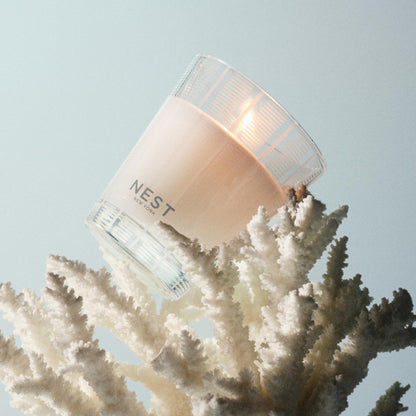 NEST New York Scented Classic Candle Duo, Ocean Mist & Sea Salt - 8.1 oz, Pack of 2 - Up to 60-Hour Burn Time Each - Reusable Glass Vessel