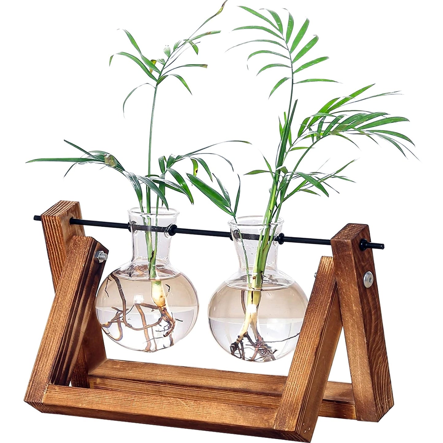 Kingbuy Glass Desktop Planter with Retro Wooden Stand and Plant Terrarium vase (2 Bulbs) for Indoor Office Desk Decor Accessories