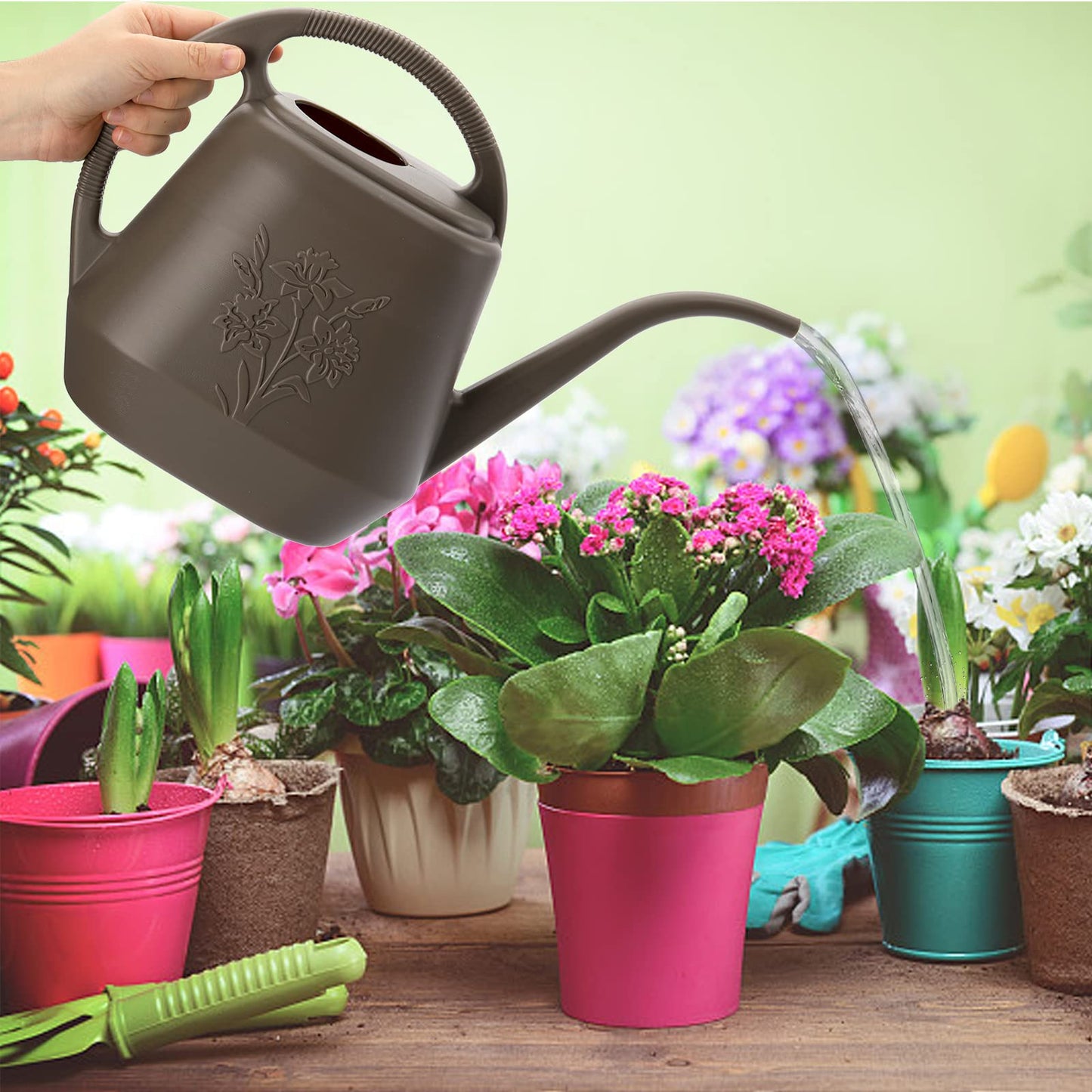 Fasmov 1-Gallon Plastic Watering Can with Comfortable Handle, Garden Watering Cans Long Spout for Indoor Outdoor Watering Plants, Gray