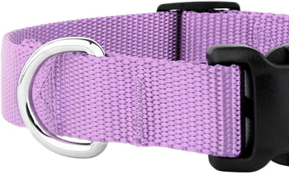 Country Brook Petz - Everyday Nylon Dog Collar and Leash - 10+ Cool Colors (3/4 Inch, Small, Lavender)