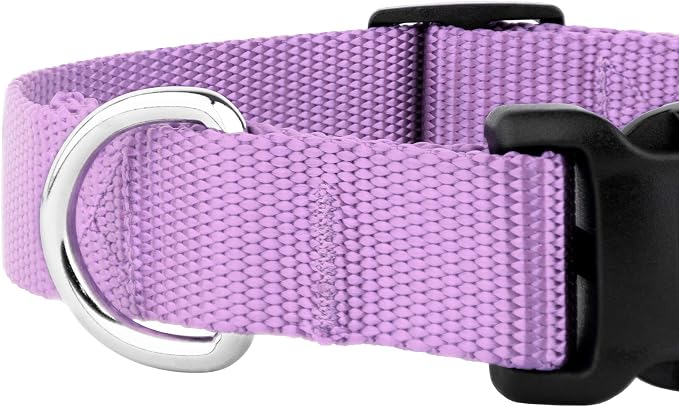 Country Brook Petz - Everyday Nylon Dog Collar and Leash - 10+ Cool Colors (3/8 Inch, Extra Small, Lavender)