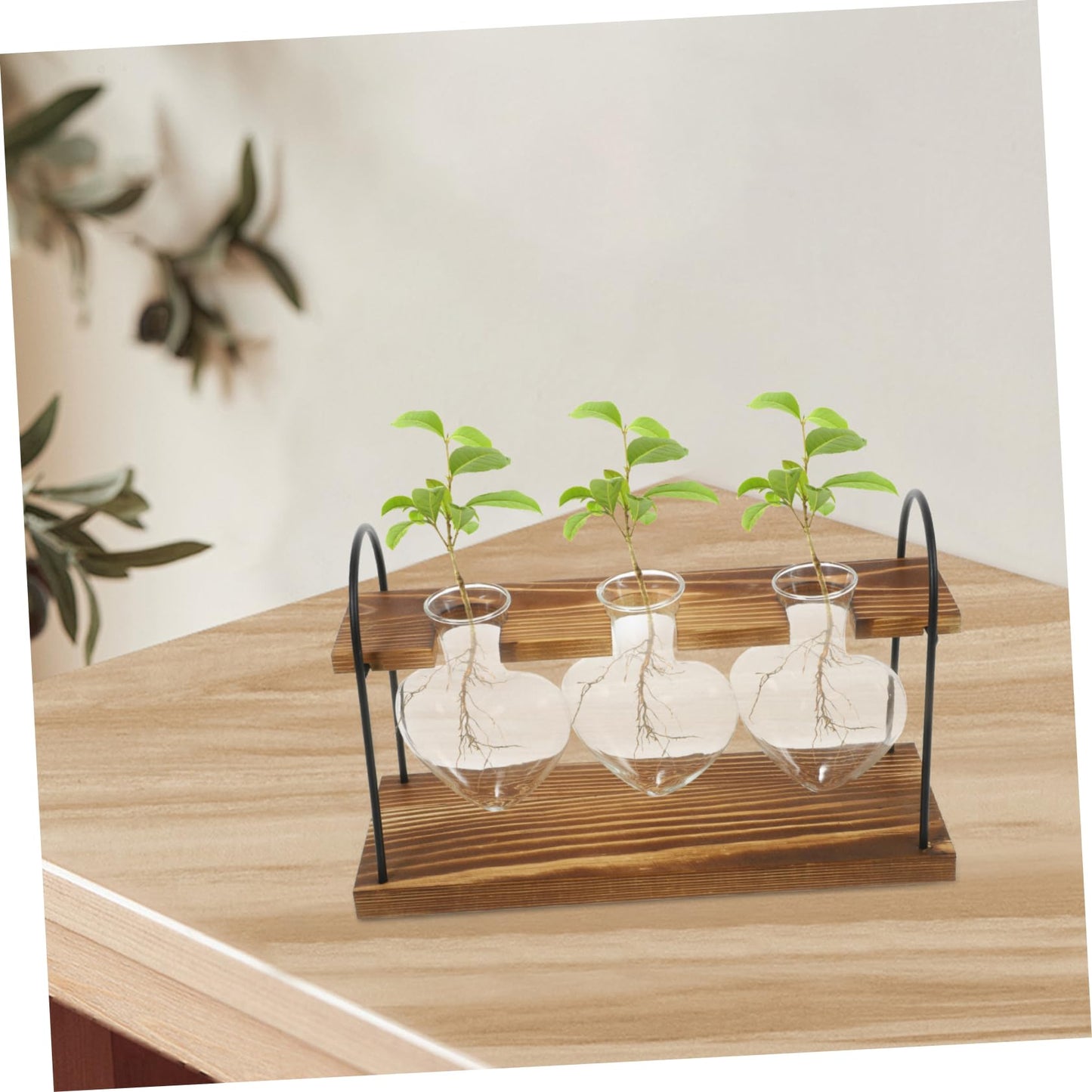 JOINPAYA 1Set Heart-Shaped Glass Plant Terrarium with Wooden Stand Hydroponic Vase for Indoor Water Plants Air Plants Desktop Container for Home Office Decor