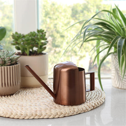 Watering Can for Indoor Plants, Small Watering Cans Sprinkling Pot for Greenhouse Garden Flower Plants, Stainless Steel Long Spout Water Can for Outdoor Watering Plants, 300ML/0.08 Gallon (Copper)