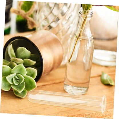 JEWEDECO 5pcs Glass Test Tubes for Plant Propagation Vase Hydroponic Floral Water Tubes Glass 2.5x3x15cm Small Terrarium Plants Home Décor