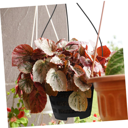 Happyyami 5 Sets Hanging Plant Pot Plastic Orchid Planter with Hook Root Controlling Pot for Indoor Outdoor Balcony Patio Garden Home Decorations