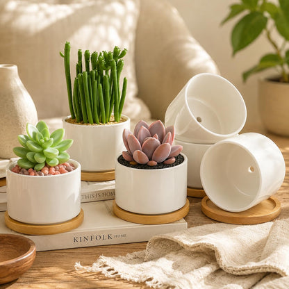 ZOUTOG Ceramic Succulent Pots,3.6 Inch Plant Pots,Succulent Planters with Drainage Hole & Bamboo Tray for Indoor Plants,White Small Flower Planters for Home,Office,Desk(6 Pack)