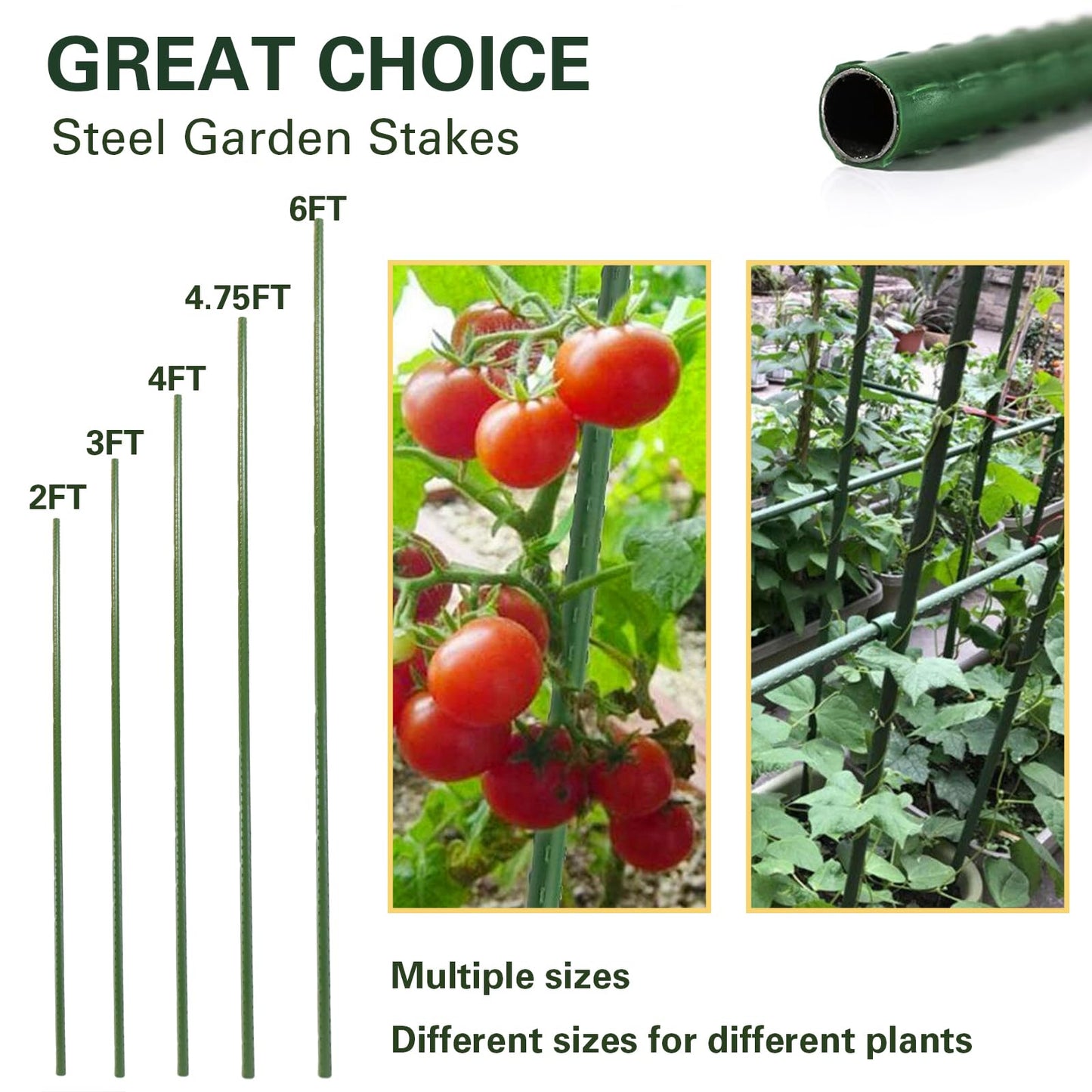Sprigra Plant Stakes 24 inch, 2ft Steel Garden Stakes 30 Pack, Sturdy Plant Support for Climbing Plants, Tomatoes, Beans, Cucumbers, Peppers, Flowers, Potted, Strengthen and Stem to Grow Better