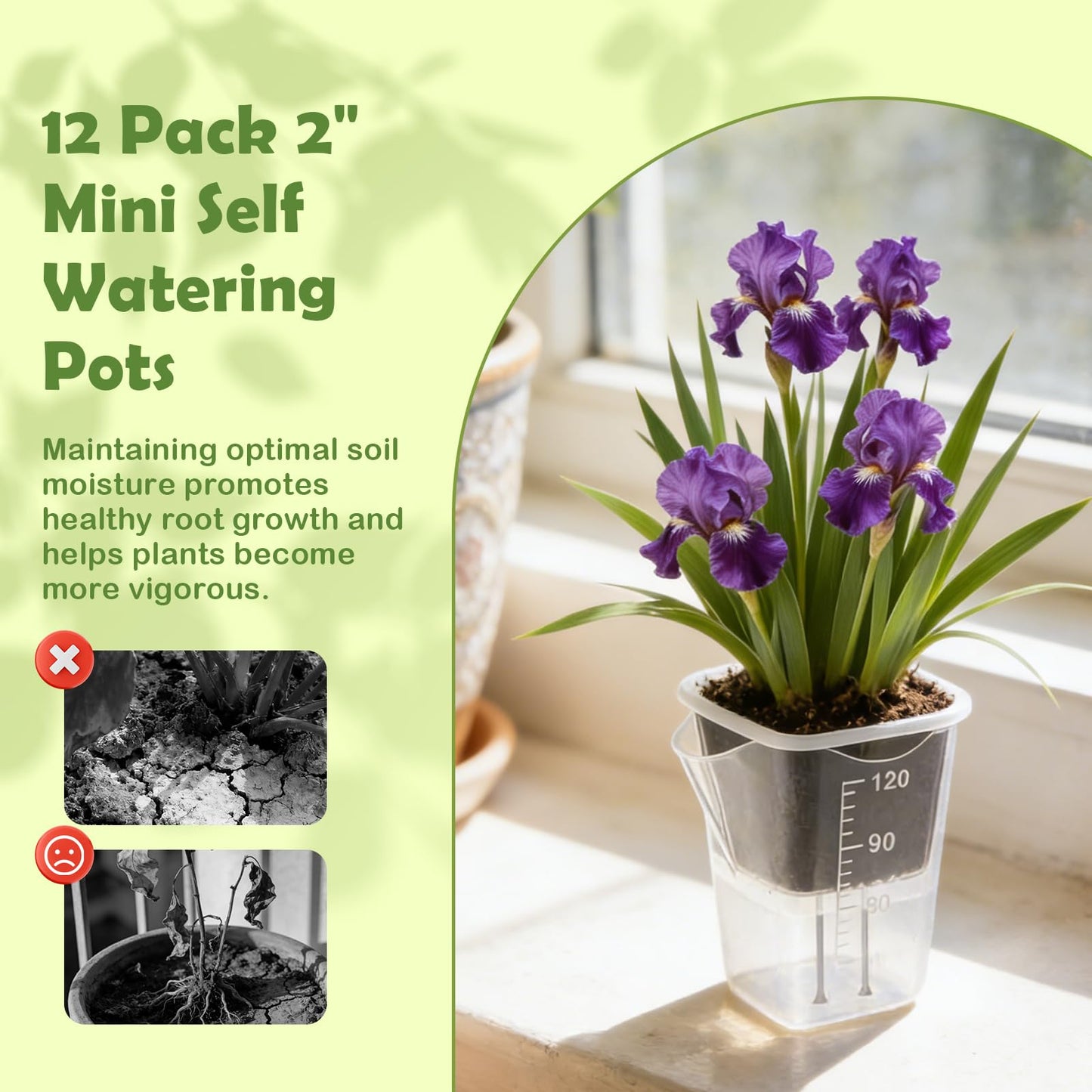 Shgxjjnb 16 Pack 2" Clear Self Watering Pots for Indoor Plants, Mini Clear Plastic Planters, with 16 Plant Label and Water Level and Drainage Holes for Seedlings, Cuttings, Succulents (Small)