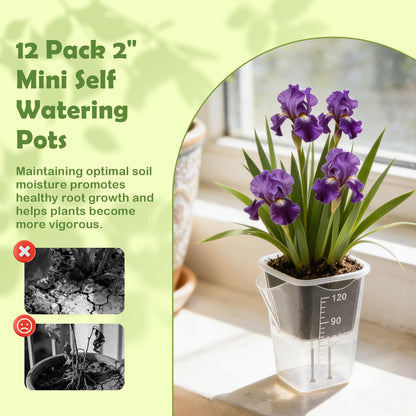 Shgxjjnb 16 Pack 2" Clear Self Watering Pots for Indoor Plants, Mini Clear Plastic Planters, with 16 Plant Label and Water Level and Drainage Holes for Seedlings, Cuttings, Succulents (Small)