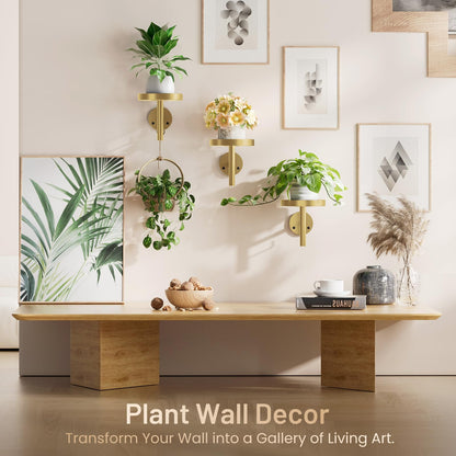 YUOROS 3 Pack Wall Plant Holder Stand Wall Planters for Indoor Plants Hanging Window Plant Hanger Decor (Gold)