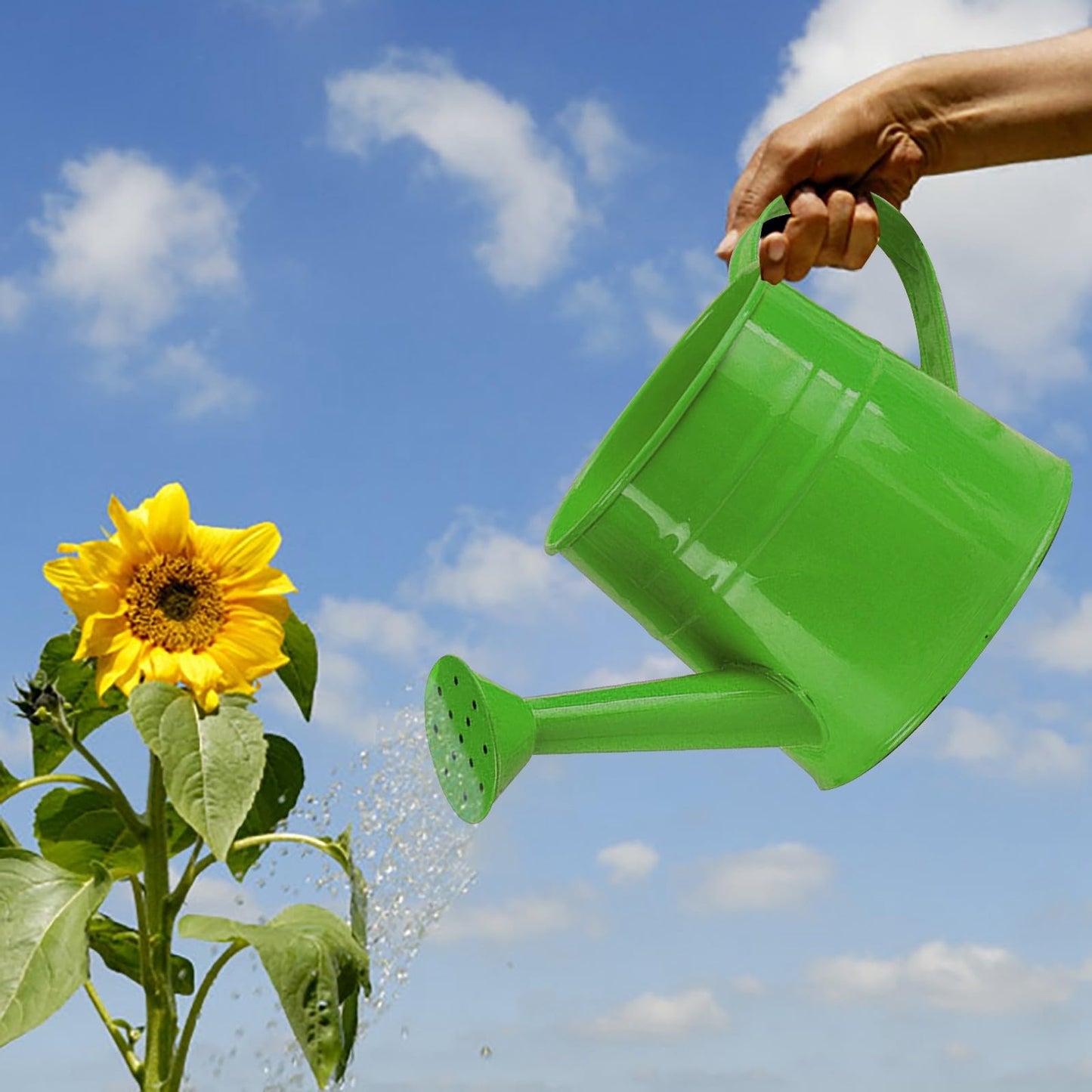 Galvanized Watering Can 1L,Tinplate Watering Kettle with Removable Spout,Garden Decorations,Gardening Tools for Outdoor Indoor Plants Lawn Garden (Green)