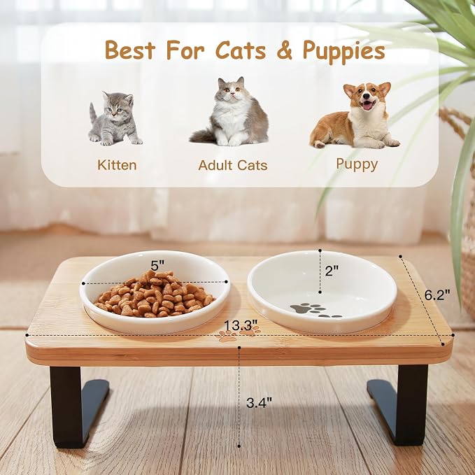 Ceramic Elevated Cat Bowls with 10° Tilted, Anti Vomiting & Whisker Friendly Food and Water Bowls with Bamboo Stand(Anti-Slip Feet), Raised Cat Food Bowls for Indoor Cats & Puppies, Dishwasher Safe