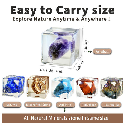 Crystal Specimen in Resin Cube - 6 Minerals Amethyst Lapis Lazuli for Geology Classroom STEM Education Healing Crystals Collection Display Gift 1.38×1.38×1.38inch