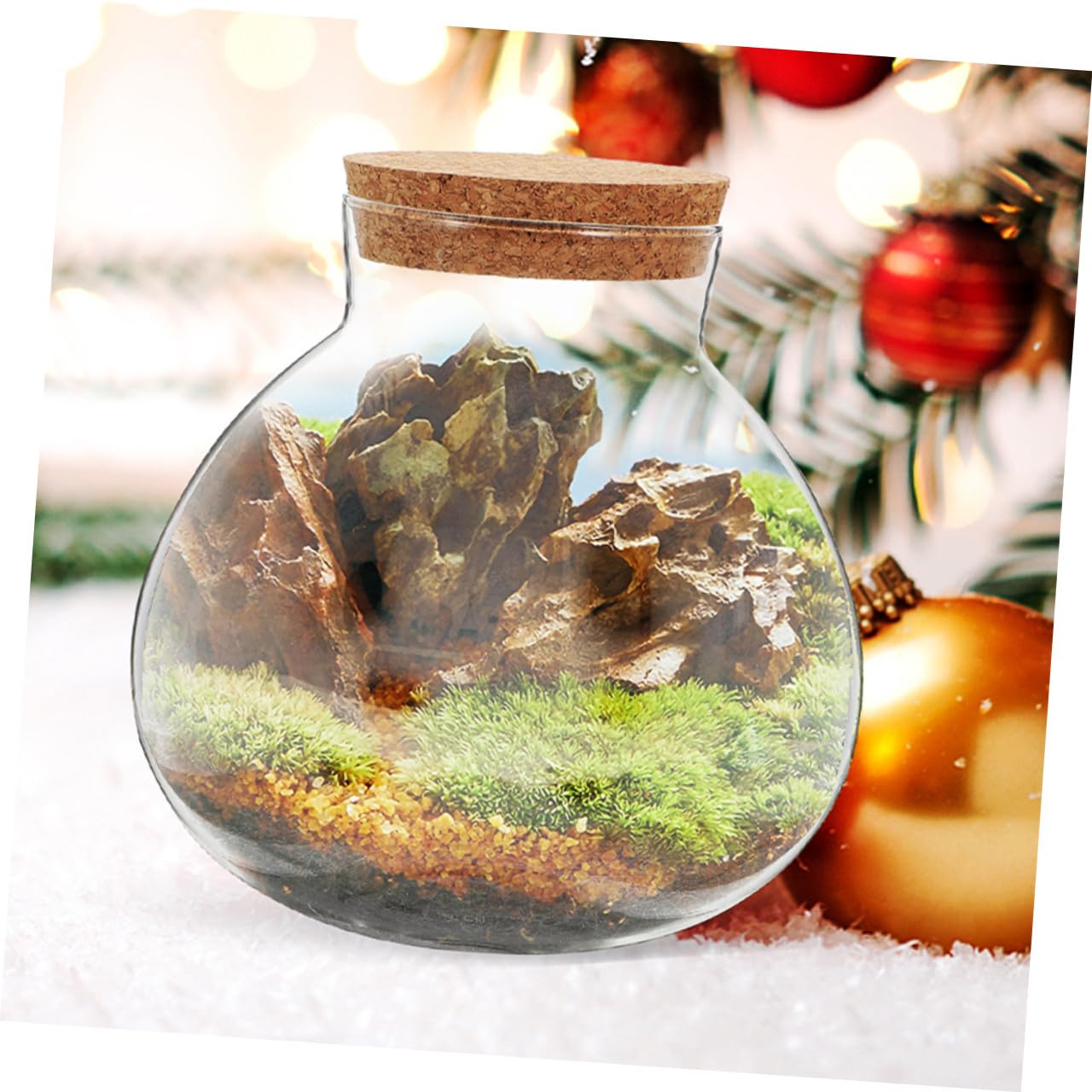 HYTROVE Terrarium Plant Decor Holder Glass Jar Moss Plant Bottle Micro Landscape Planter Bottle DIY Cork Glass Eco for Home Decor