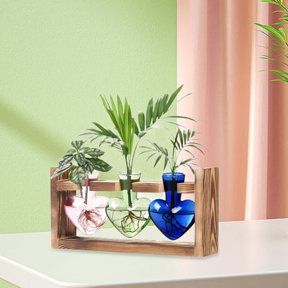 Duiaynke Hydroponic Flower Vase Glass Vase Table Centerpiece Plant Propagation Modern Propagating Jar Plant Terrarium for Dining Table (Color)