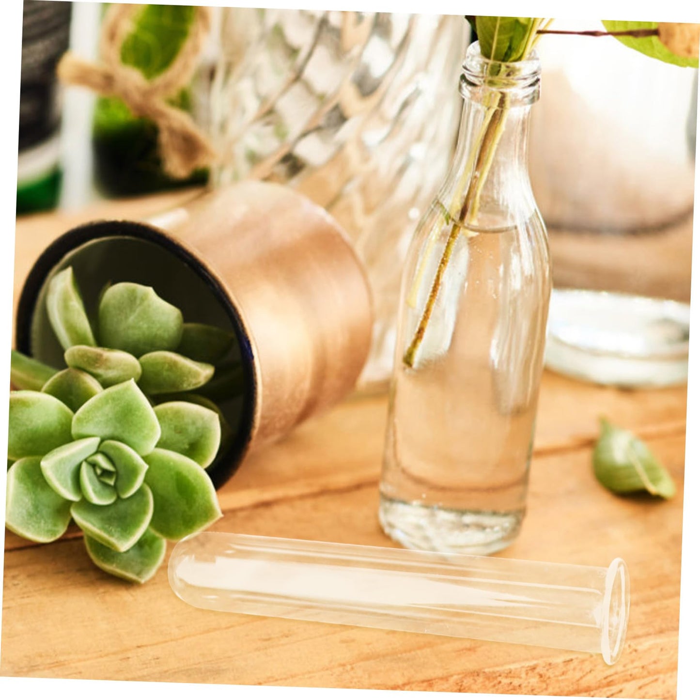 CIYODO 4pcs Glass Hydroponic Test Tube Vase for Flowers Geometric Terrarium Home Plant Decor Propagation Vases