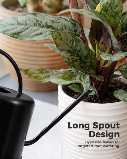 Bamworld Metal Watering Can Indoor Plants 1L 33oz Black Stainless Steel Watering Can with Long Spout for House Potted Plants Succulents Bonsai Garden Flowers
