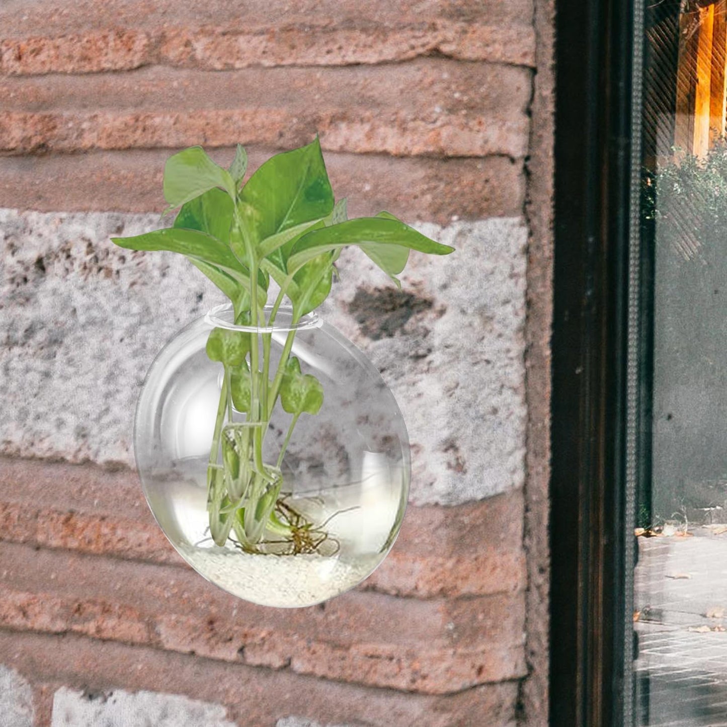 Abaodam Wall Hanging Hydroponic Glass Vase for Plants, Tall Glass Terrarium Planter, Decorative Home Wall-Mounted Flower Pot for Indoor Garden