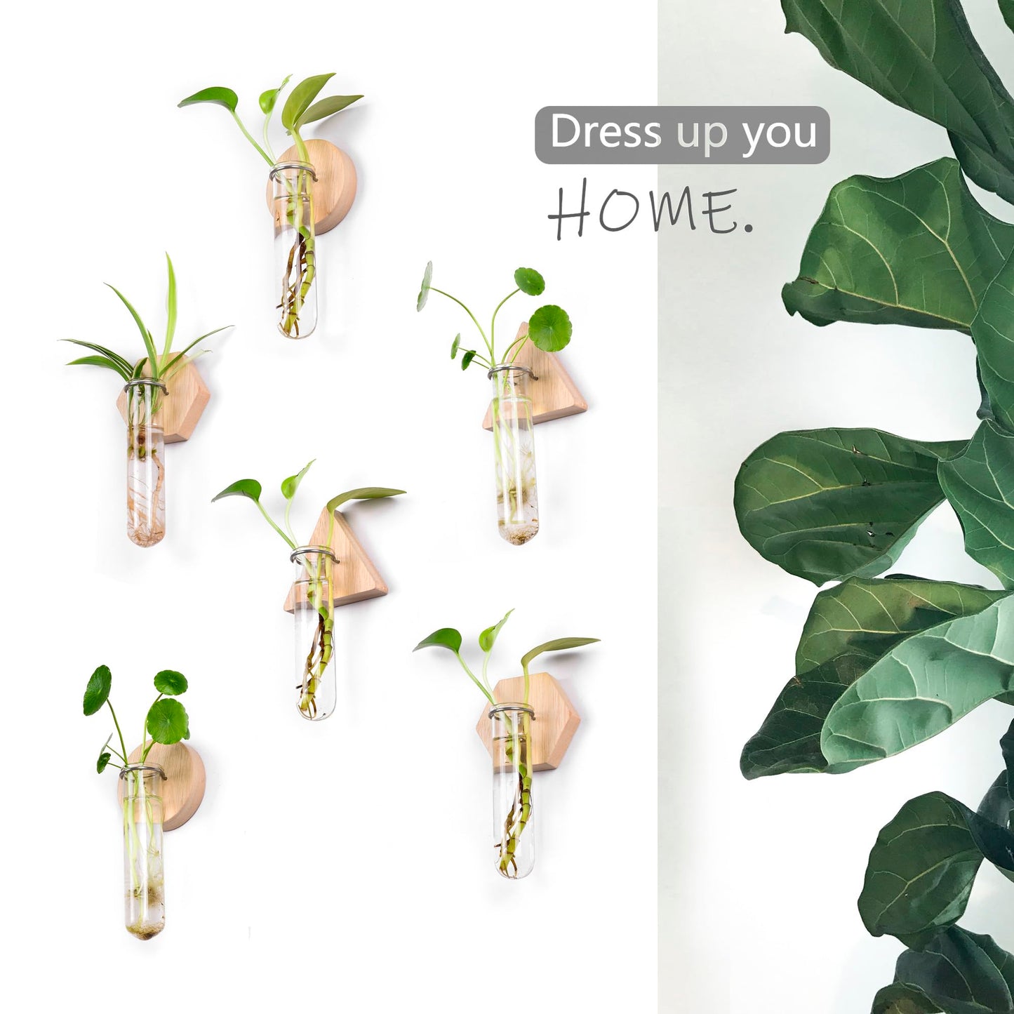 MITIME Wall Hanging Planter Glass Plant Propagation Station,Geometric Wooden Stand for Home Office Decoration.