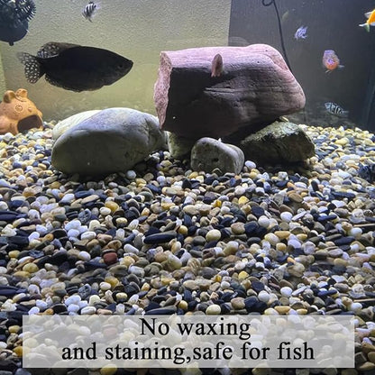 FANTIAN 5 lbs Gravel for Fish Tank, 2/5 Inch Mixed Color River Rocks for Aquarium, Vase Fillers, Cactus Bonsai, Plant Soil Cover and Outdoor Garden Landscaping Rocks