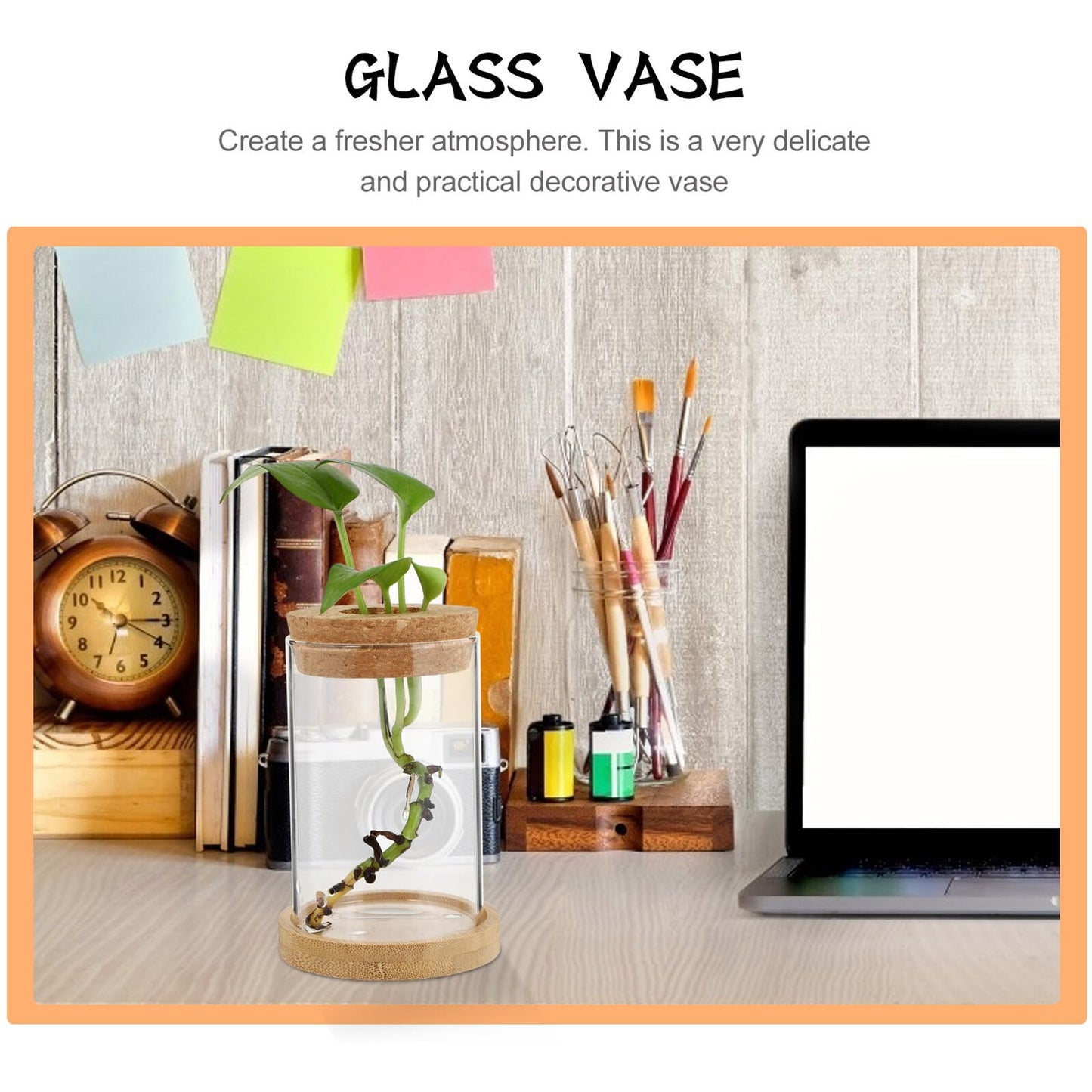 Artibetter 2pcs Hydroponic Glass Plant Vases with Stand, 6.5x10 Inch Desktop Garden Decoration Terrarium Containers for Office and Home Hydroponics
