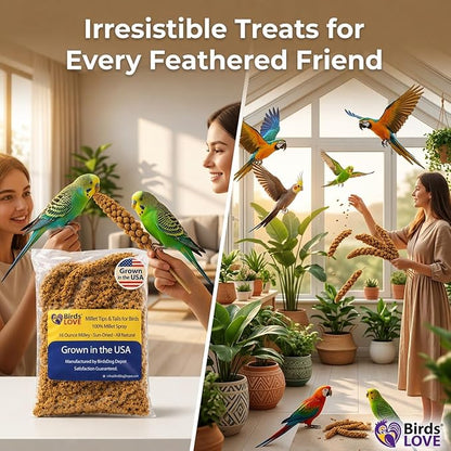 Birds LOVE Millet Tips & Tails for Birds - Parakeets, Cockatiels, Lovebirds, Finches, Budgies, Canaries, Cockatoos - Natural & Healthy Millet for Birds - Parakeet Food & Treats for All Parrots, 1lb