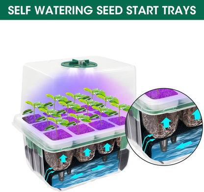 MYMULIKE Seed Starter Tray with Grow Light,5 Pack 60 Cells Seedling Tray Kit Reusable & Dishwasher Safe for Starting Vegetable, Flower & Herb Seeds Indoor Grow Kit for Deep-Rooted Seedlings