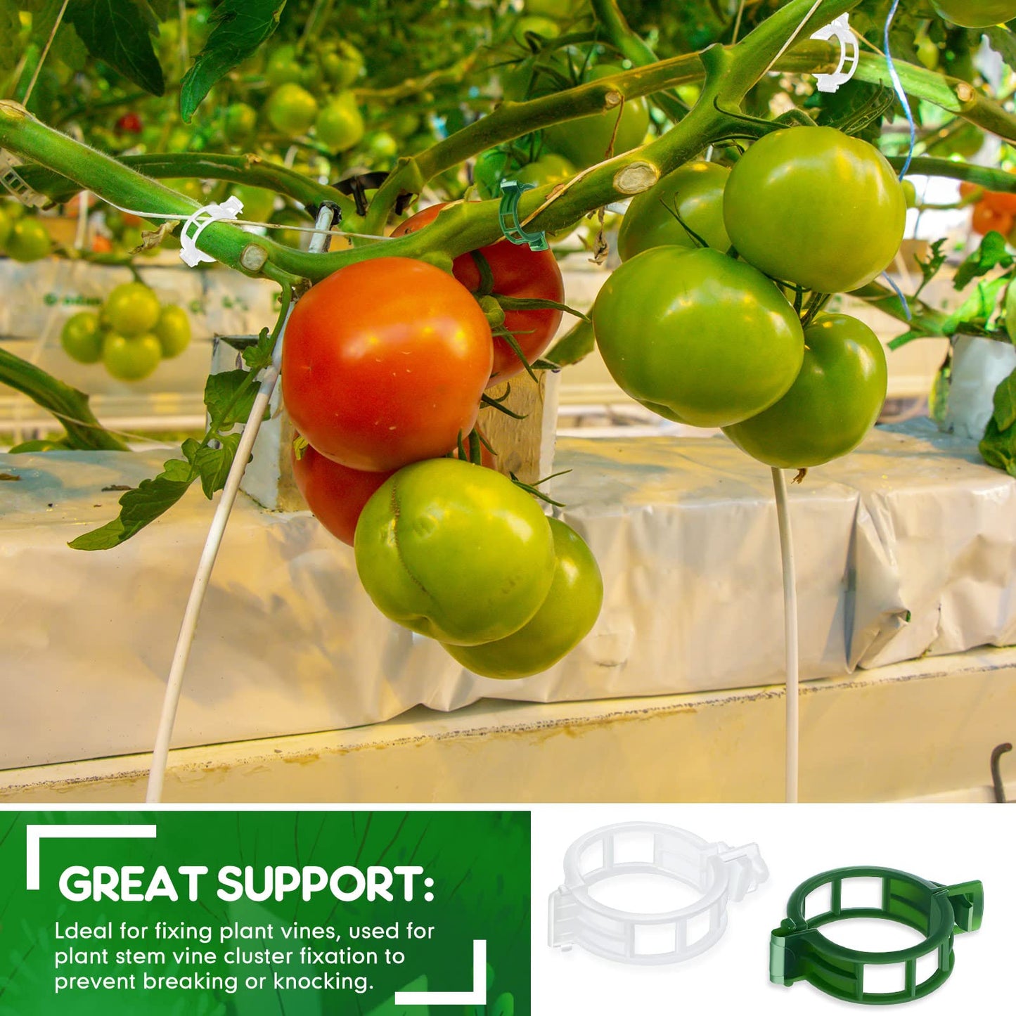 Vesici 1000 Pcs Support Garden Clips Tomato Vine Clips Grape Vine Tomato Clips for Climbing Trellis Orchid Flower Crop Vegetable to Grow Upright and Make Healthier, White and Green