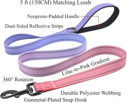 Dog Collar Leash Set, Gradient Color, with Safety Reflective Strips, 5 ft Matching Leash, Neoprene Padded Handle, Adjustable 4 Sizes for Small Medium Large Dogs.(L, Lilac Pink)