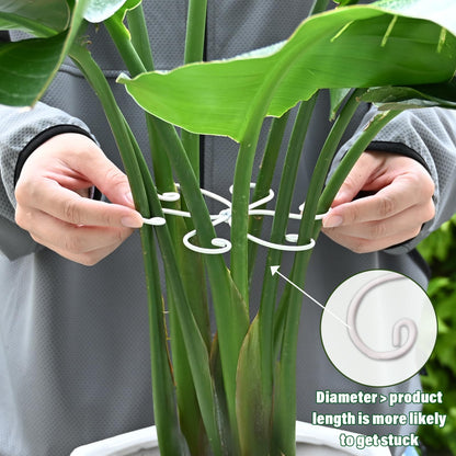 YOHSNOR 5PCS Monstera Plant Support Hook - 5.5x5.5 inch Premium Indoor Stem Stabilizer for Monstera & Fishbone Cactus, Durable,Easy Installation, Gentle Protection for Healthy Plant Growth