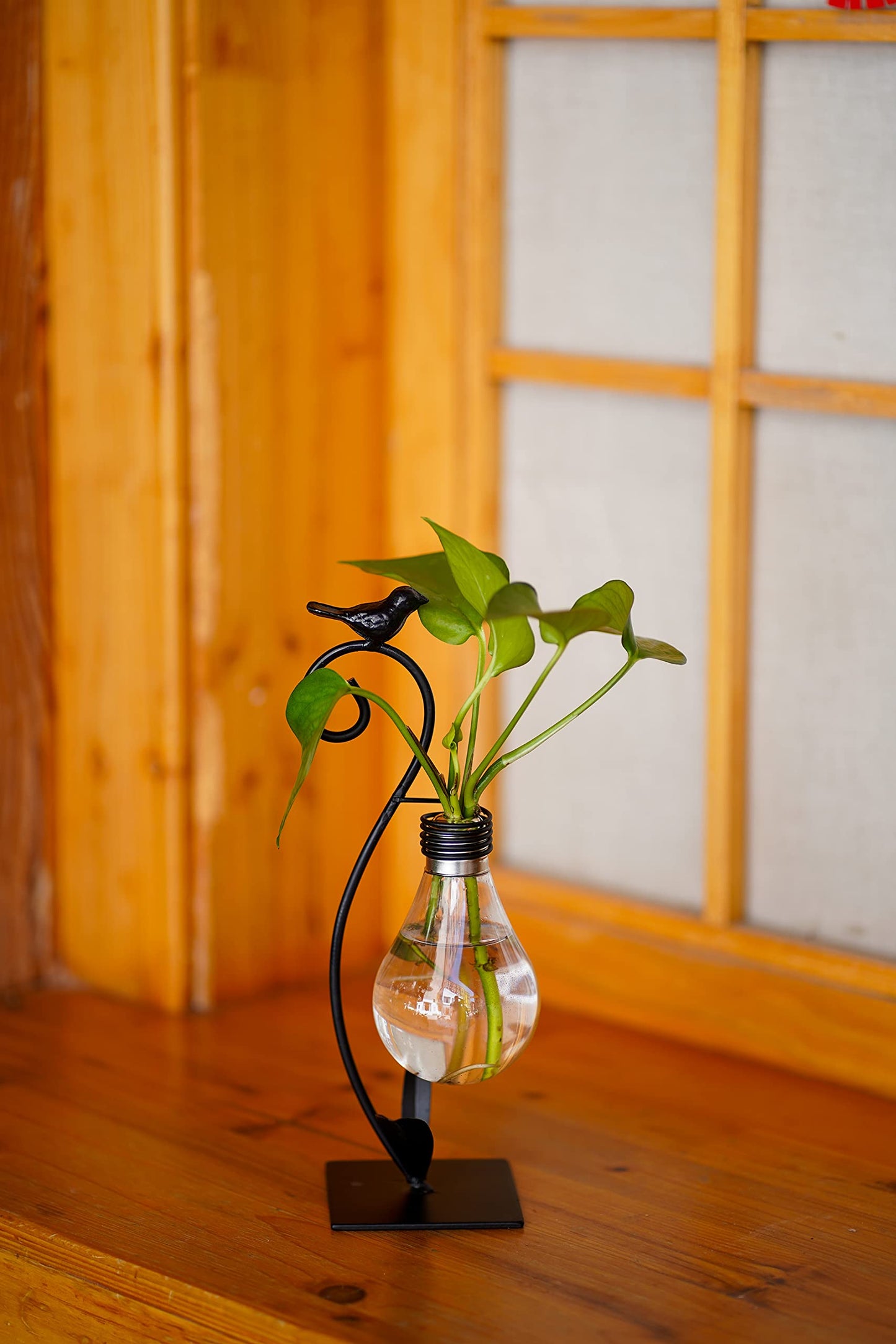 Joyathome Plant Terrarium, Hydroponic Vases for Home Decoration, Modern Creative Bird Terrarium Stand, Ideal Gifts
