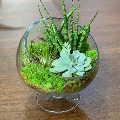 WGV Slant Cut Bowl Glass Vase with Stand, Width 6.5", Height 7", Clear Planter Terrarium, Candy Dish, Fruit Jar for Wedding Party Event, Home Office Decor, 1 Piece