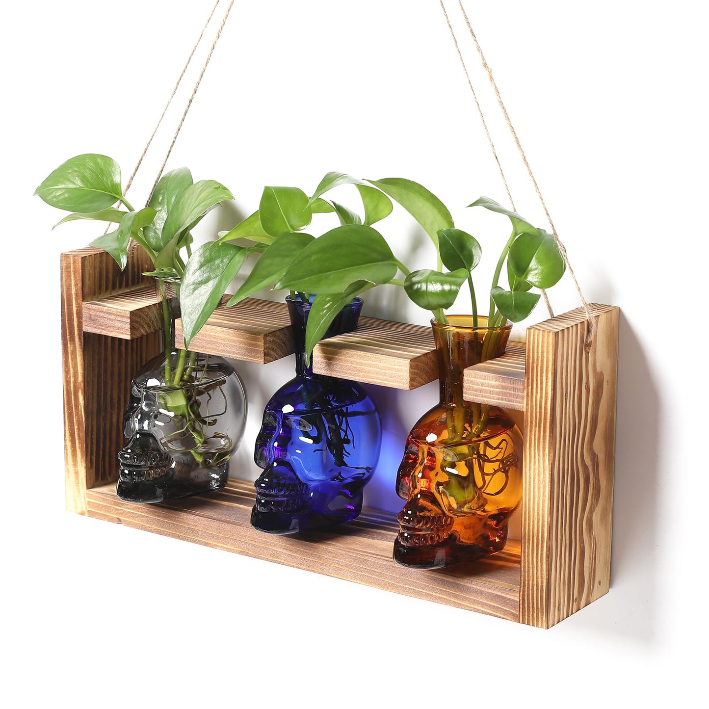 Plant Terrarium Propagation Stations Hydroponics Halloween Skull Planter Vase Skulls Decor with Wooden Stand Gift for Father